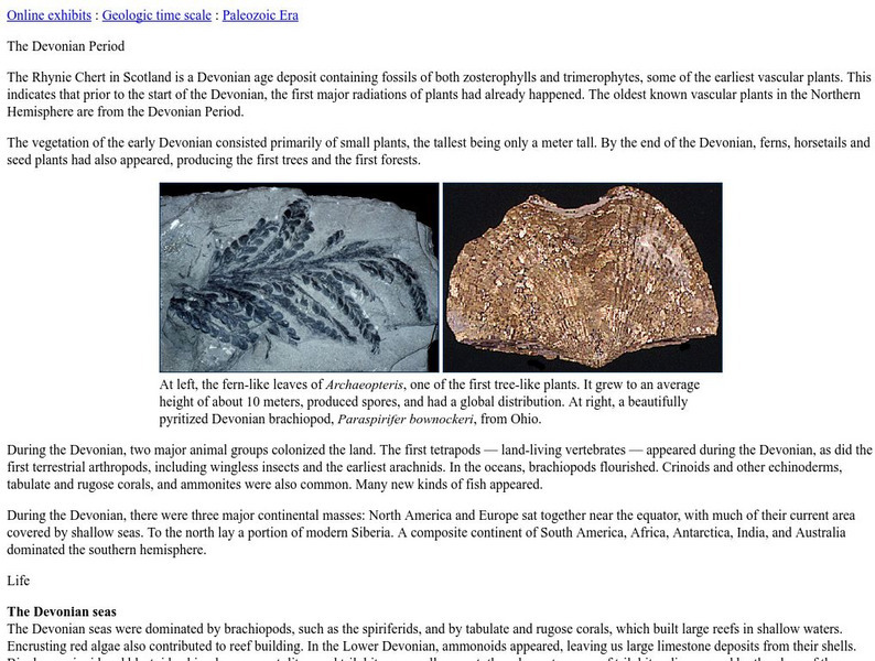 Ucmp: The Devonian Period Website Ucmp: The Devonian Period Website