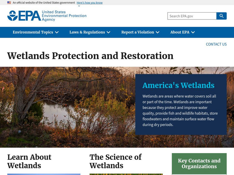 Epa: Wetlands Protection Handout