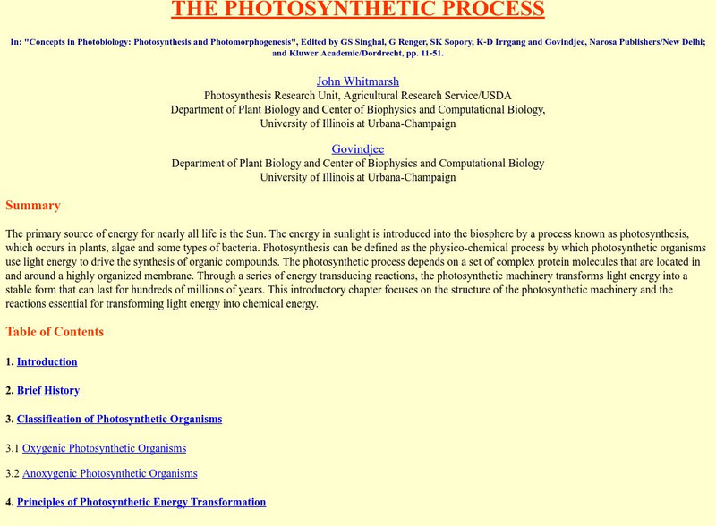 University of Illinois: Purple Bacteria Website