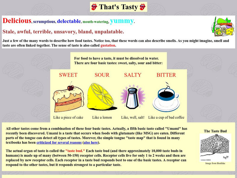 University of Washington: That's Tasty Website University of Washington: That's Tasty Website