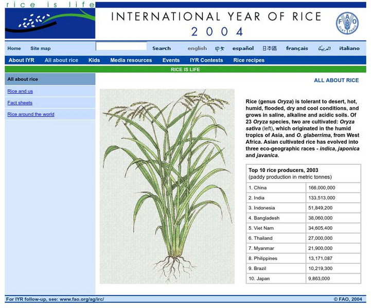 International Year of Rice, 2004: All About Rice Website
