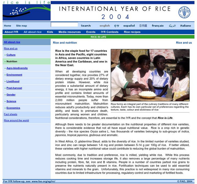 International Year of Rice, 2004: Rice and Nutrition Handout International Year of Rice, 2004: Rice and Nutrition Handout