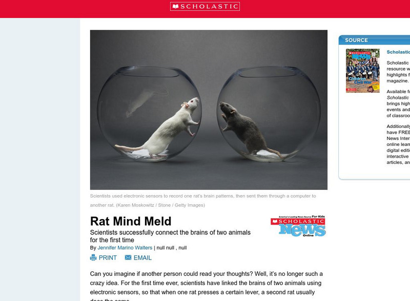 Scholastic News: Rat Mind Meld Article Scholastic News: Rat Mind Meld Article