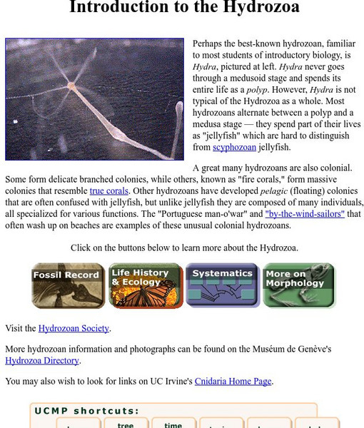 Ucmp: Introduction to the Hydrozoa Handout