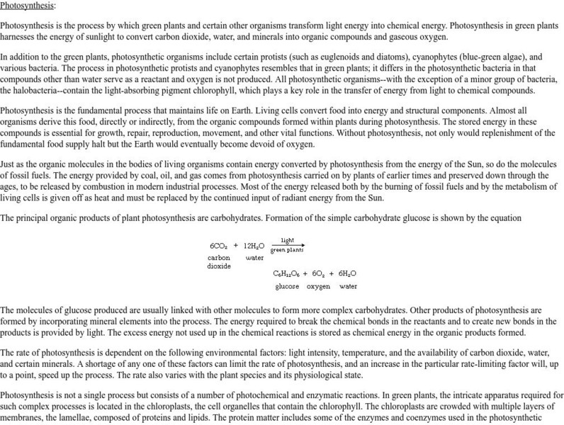 University of Oregon: Photosynthesis Handout University of Oregon: Photosynthesis Handout