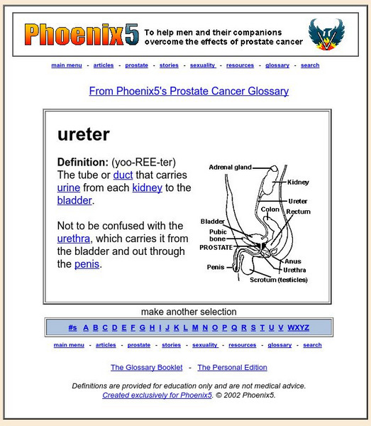 Phoenix 5: Ureter Handout Phoenix 5: Ureter Handout