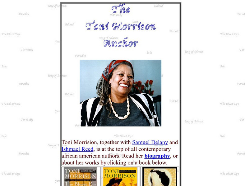 University at Buffalo: Toni Morrison Anchor Activity