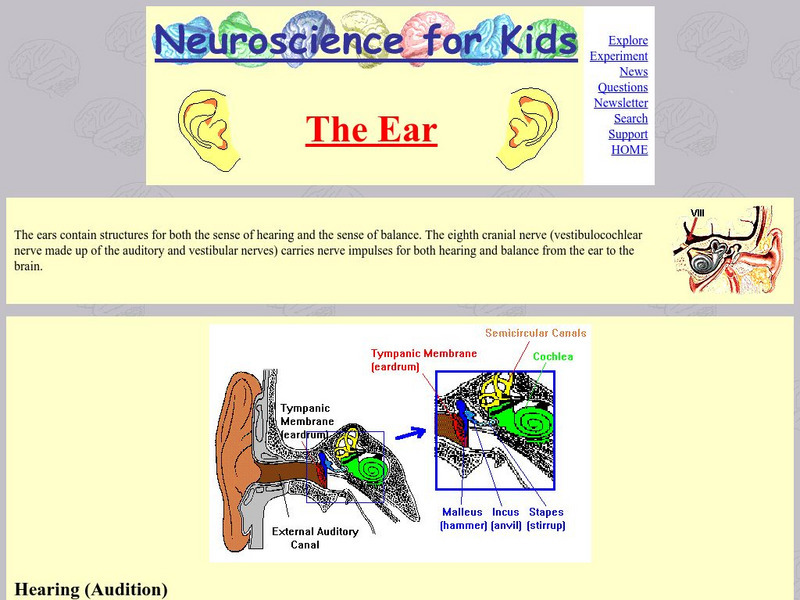 University of Washington: The Ear Website University of Washington: The Ear Website