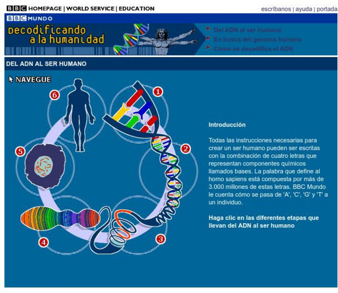 Bbc Mundo: Decodificando a La Humanidad Del Adn Interactive Bbc Mundo: Decodificando a La Humanidad Del Adn Interactive