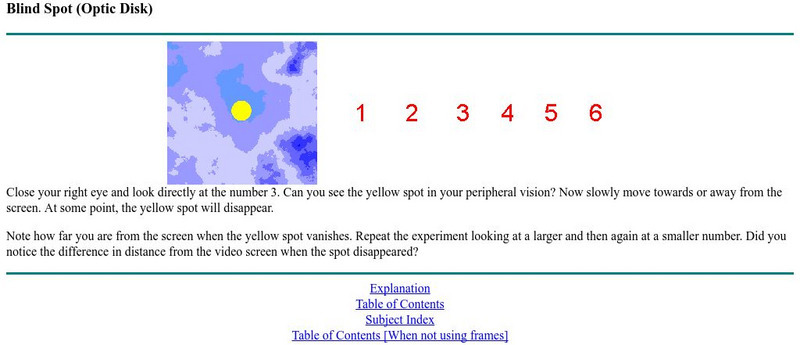 York University: Blind Spot Test Activity York University: Blind Spot Test Activity