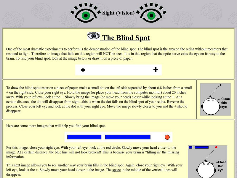 Neuroscience for Kids: Vision and Optical Illusions Activity Neuroscience for Kids: Vision and Optical Illusions Activity