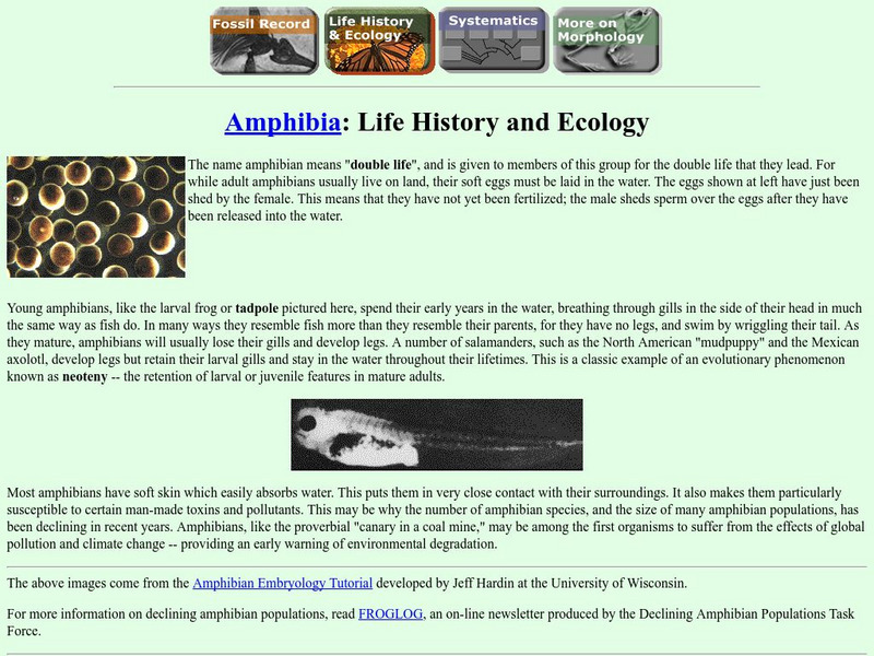 Ucmp: Life History and Ecology Handout Ucmp: Life History and Ecology Handout