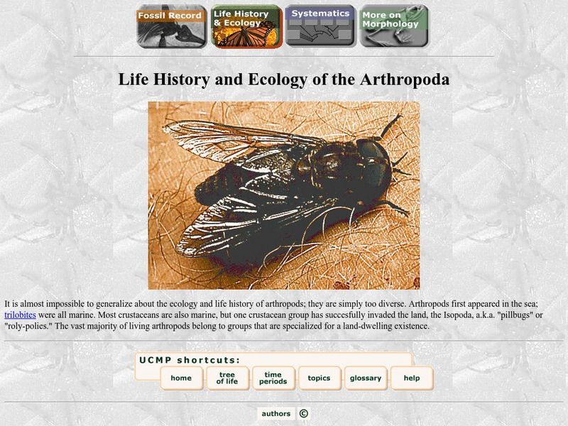 Ucmp: Life H Istory and Ecology of Arthropoda Handout Ucmp: Life H Istory and Ecology of Arthropoda Handout
