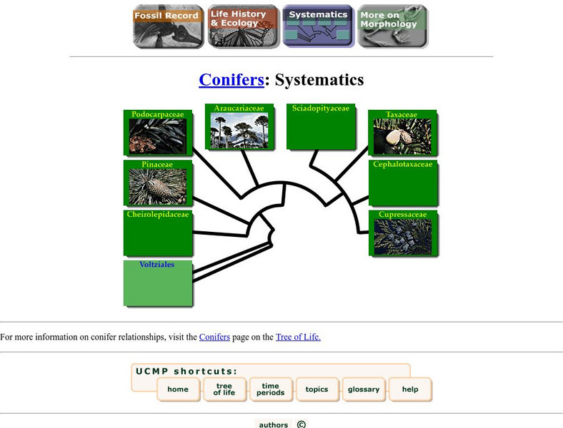 Ucmp: Systematics Handout Ucmp: Systematics Handout