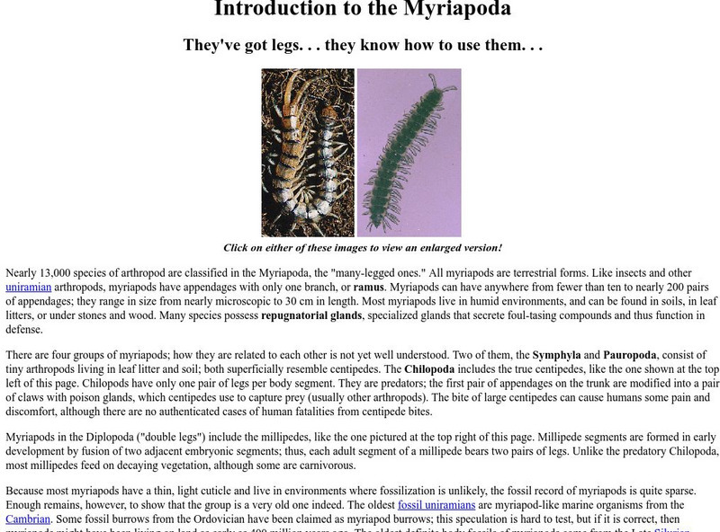 Ucmp: Introduction to Myriapoda Handout Ucmp: Introduction to Myriapoda Handout