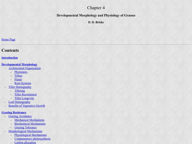 Texas a & M University: Root Function in Grass Plants Handout Texas a & M University: Root Function in Grass Plants Handout