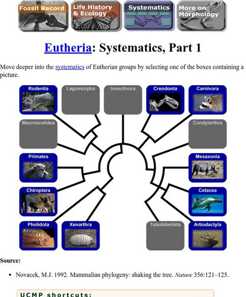 Ucmp: Eutheria: Systematics, Part Handout Ucmp: Eutheria: Systematics, Part Handout