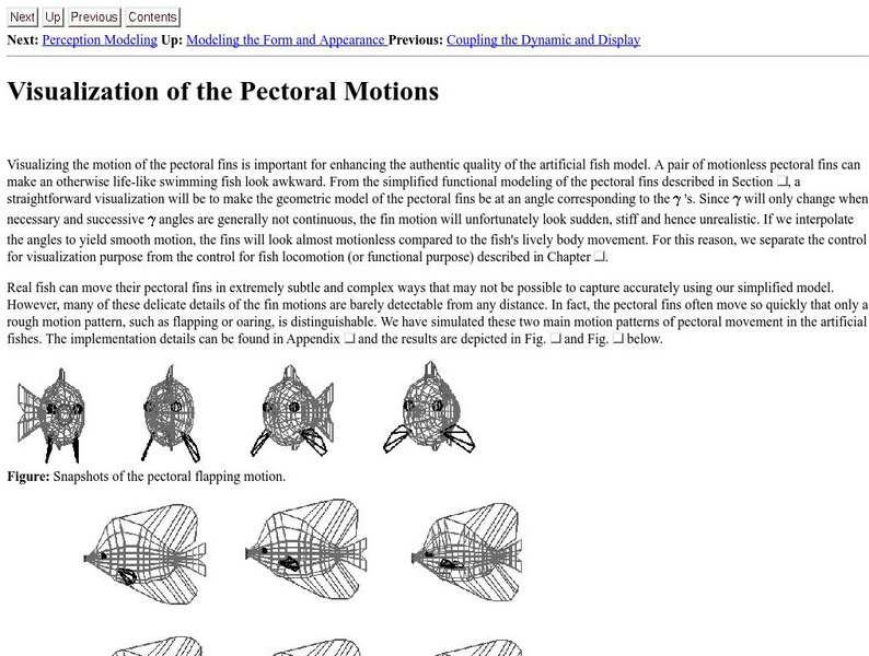 University of Toronto: Visualization of Pectoral Motion Activity University of Toronto: Visualization of Pectoral Motion Activity