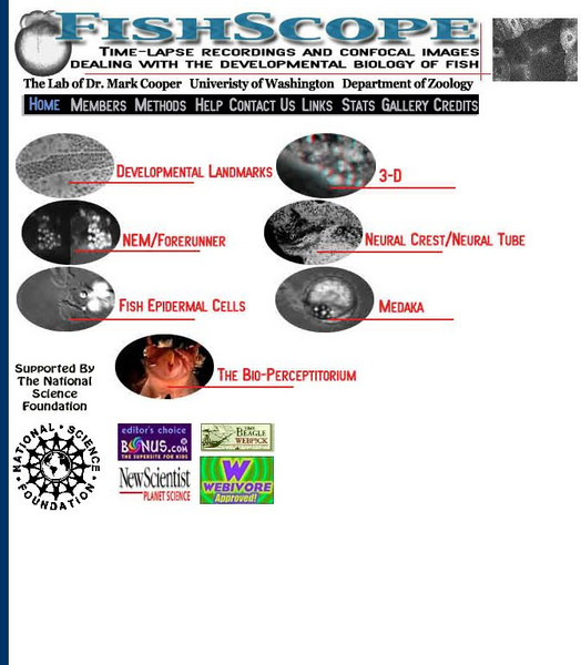 Fish Scope: Fish Development Website Fish Scope: Fish Development Website