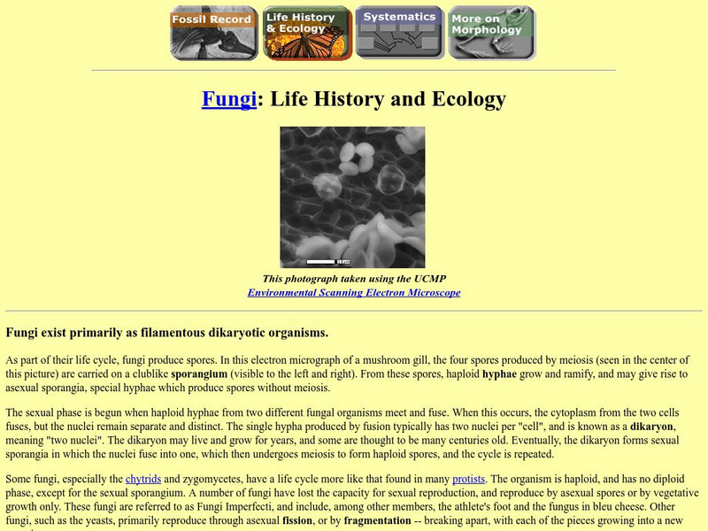 Ucmp: Life History and Ecology Handout Ucmp: Life History and Ecology Handout