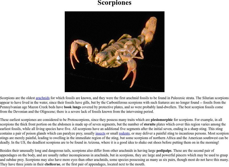 Ucmp: Scorpion Evolution Handout Ucmp: Scorpion Evolution Handout