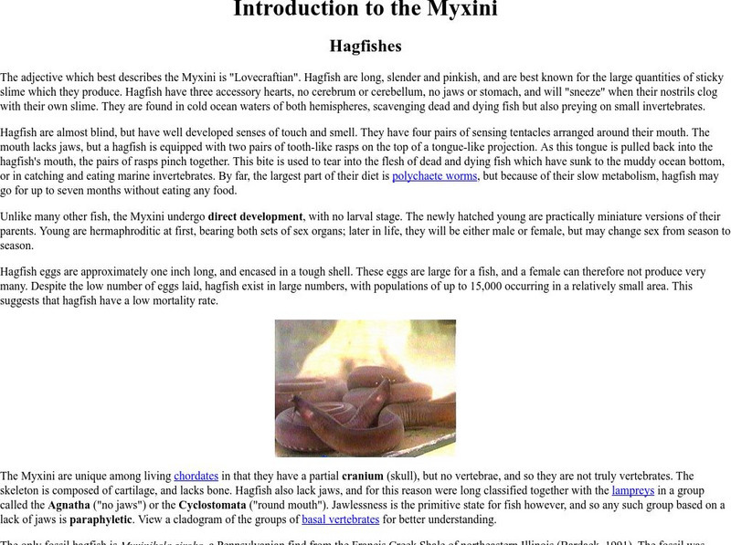 Ucmp: Myxini Hagfishes Handout