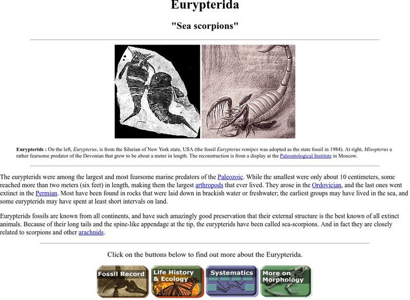 Ucmp: Sea Scorpion Handout Ucmp: Sea Scorpion Handout