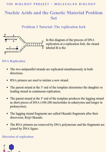 Biology Project: Nucleic Acids (Tutorial 3) Unit Plan Biology Project: Nucleic Acids (Tutorial 3) Unit Plan