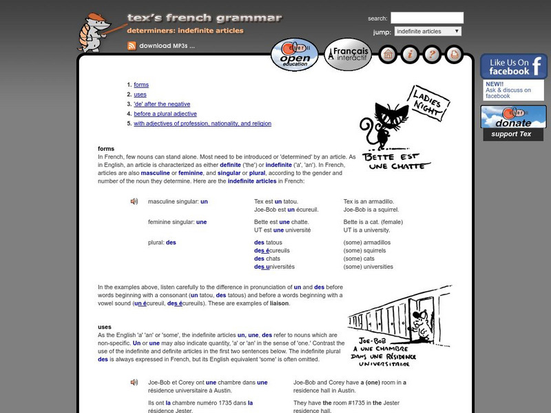 Tex's French Grammar: Indefinite Articles Activity Tex's French Grammar: Indefinite Articles Activity