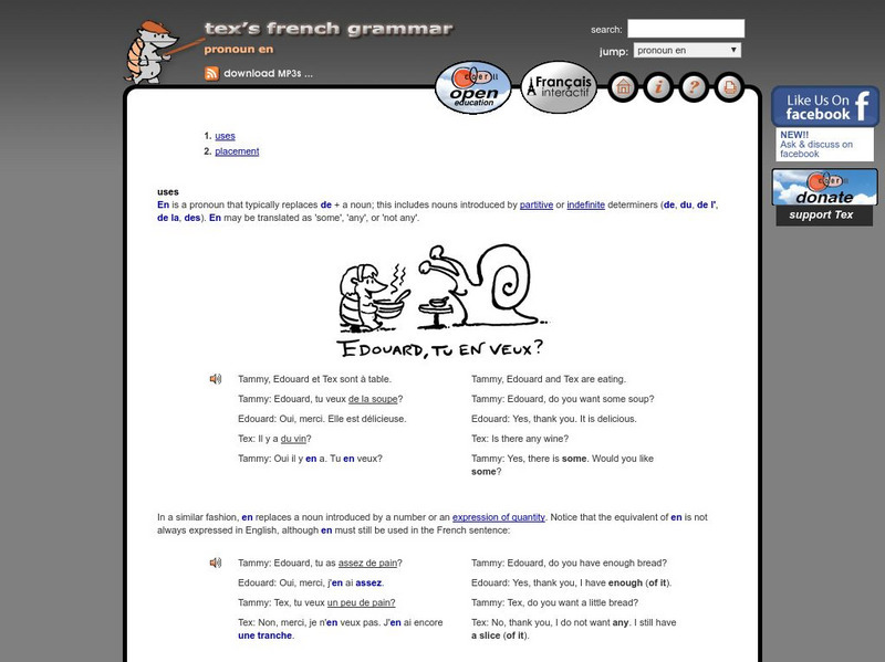 Tex's French Grammar: Pronoun "En" Activity