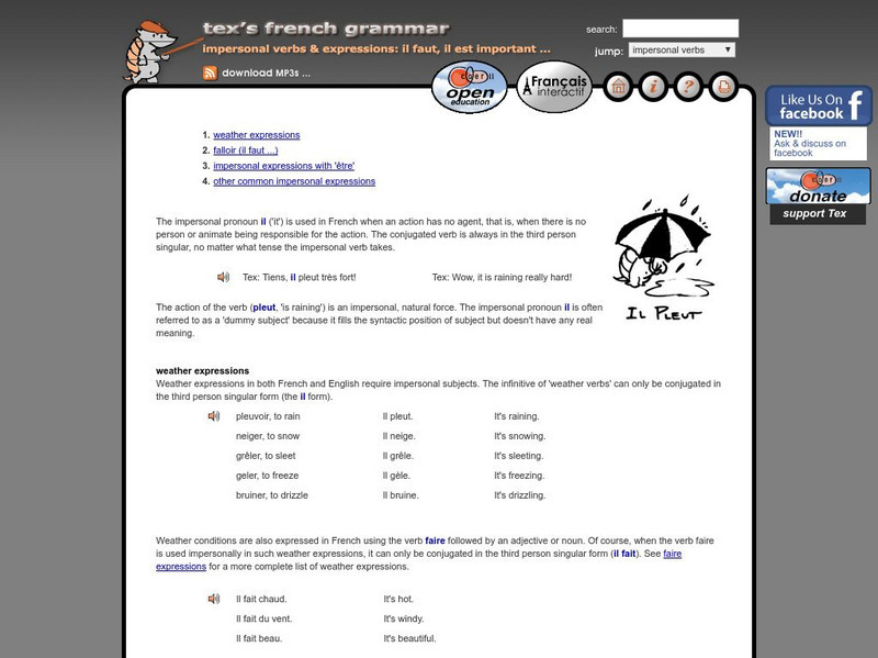 Tex's French Grammar: Impersonal Verbs and Expressions Activity Tex's French Grammar: Impersonal Verbs and Expressions Activity