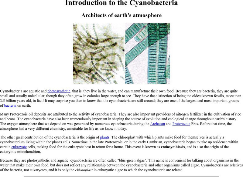 Ucmp: Cyanobacteria Handout Ucmp: Cyanobacteria Handout