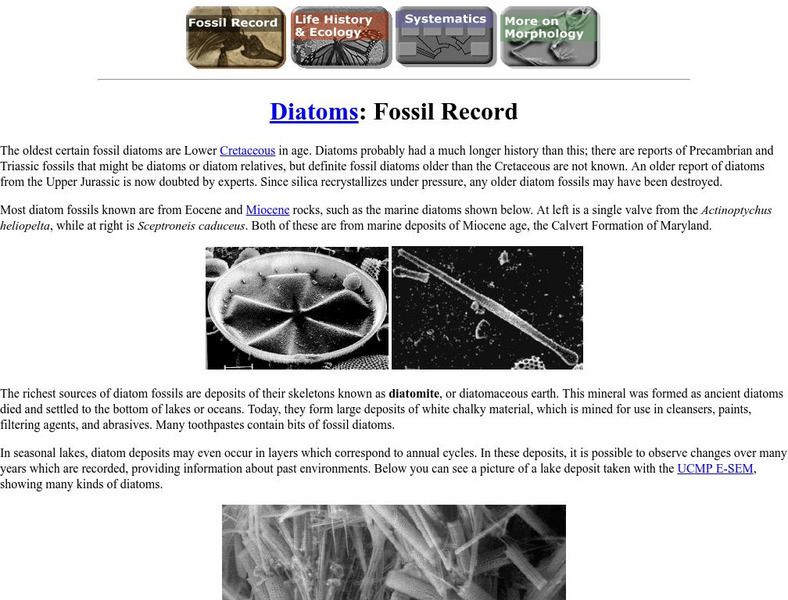 Ucmp: Diatoms Handout Ucmp: Diatoms Handout