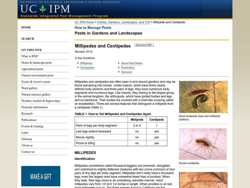 University of California Berkeley: Millipedes and Centipedes Handout
