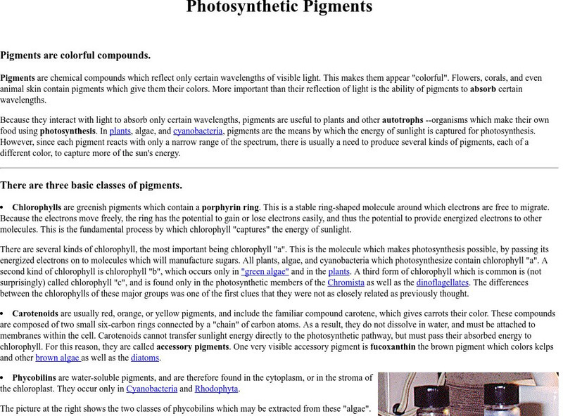 Ucmp: Photosynthetic Pigments Handout Ucmp: Photosynthetic Pigments Handout