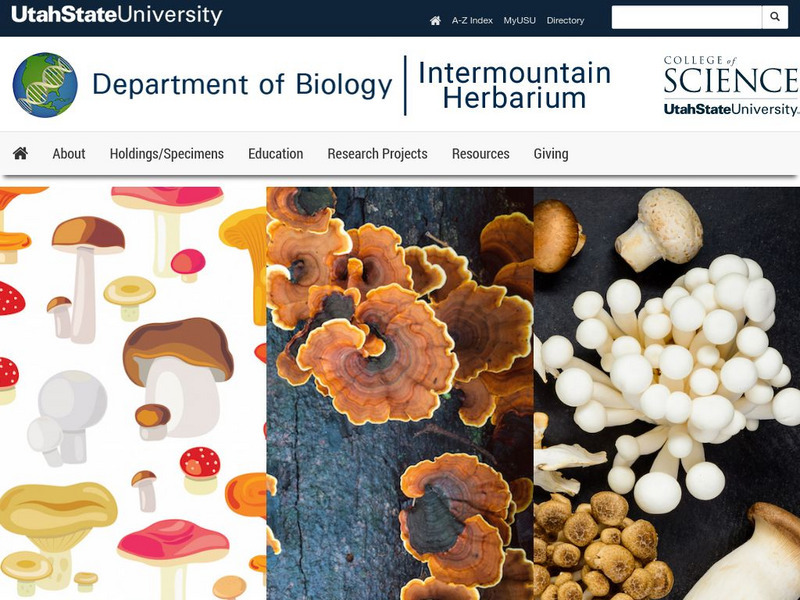 Utah State Univ.: Fun Facts About Fungi Activity Utah State Univ.: Fun Facts About Fungi Activity