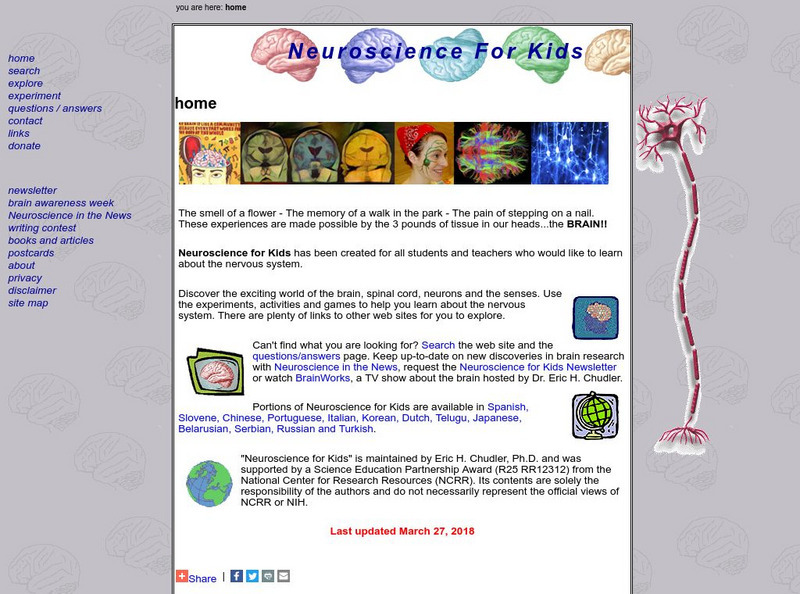 University of Washington: Neuroscience for Kids Website University of Washington: Neuroscience for Kids Website