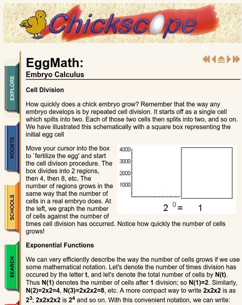 University of Illinois Urbana Champaign: Chickscope Egg Math: Embryo Calculus Activity University of Illinois Urbana Champaign: Chickscope Egg Math: Embryo Calculus Activity