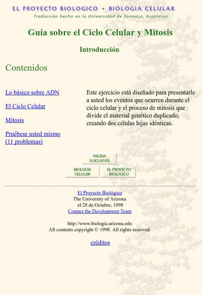 University of Arizona: Guia Sobre El Ciclo Celular Y Mitosis Handout University of Arizona: Guia Sobre El Ciclo Celular Y Mitosis Handout