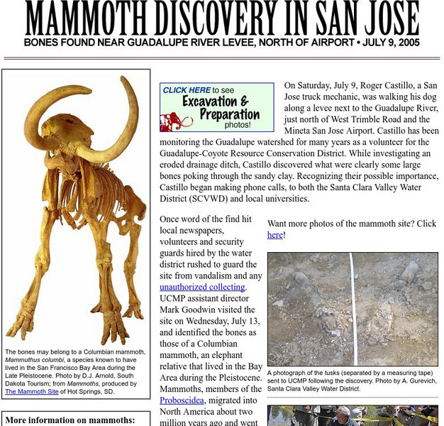 Ucmp: Mammoth Discovery in San Jose Handout Ucmp: Mammoth Discovery in San Jose Handout