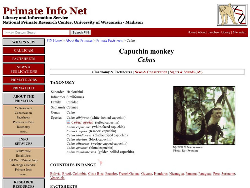 University of Wisconsin: Capuchin Monkey (Cebus) Handout
