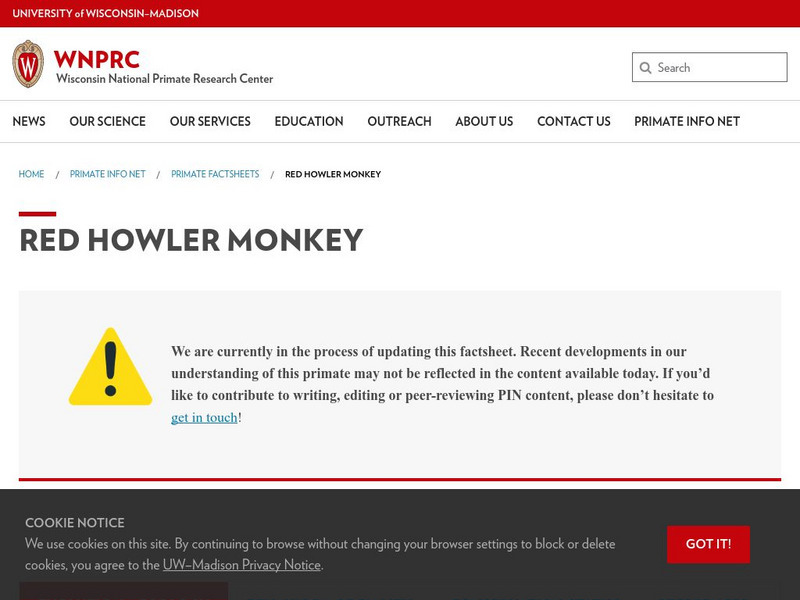 University of Wisconsin: Red Howler (Alouatta Seniculus) Handout University of Wisconsin: Red Howler (Alouatta Seniculus) Handout