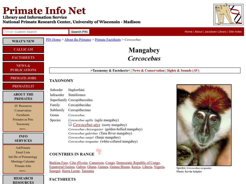 University of Wisconsin: Mangabey Handout University of Wisconsin: Mangabey Handout