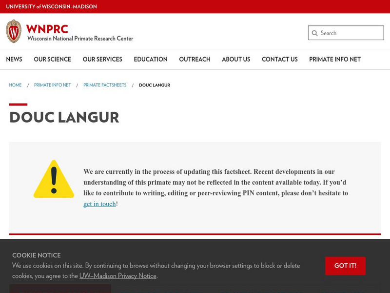 University of Wisconsin: Douc Langur (Pygathrix) Handout University of Wisconsin: Douc Langur (Pygathrix) Handout