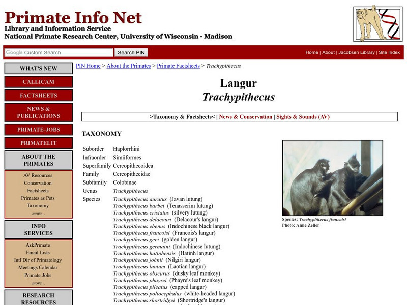 University of Wisconsin: Langur Handout University of Wisconsin: Langur Handout