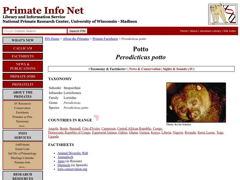 University of Wisconsin: Potto Handout University of Wisconsin: Potto Handout