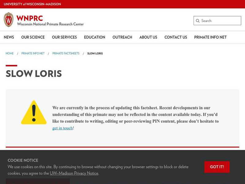 University of Wisconsin: Slow Loris Handout University of Wisconsin: Slow Loris Handout