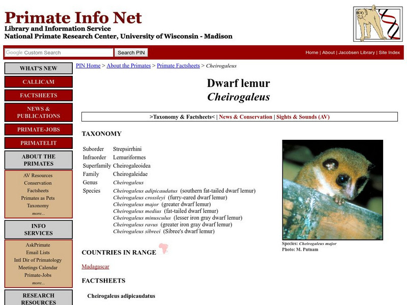 University of Wisconsin: Dwarf Lemur Handout University of Wisconsin: Dwarf Lemur Handout