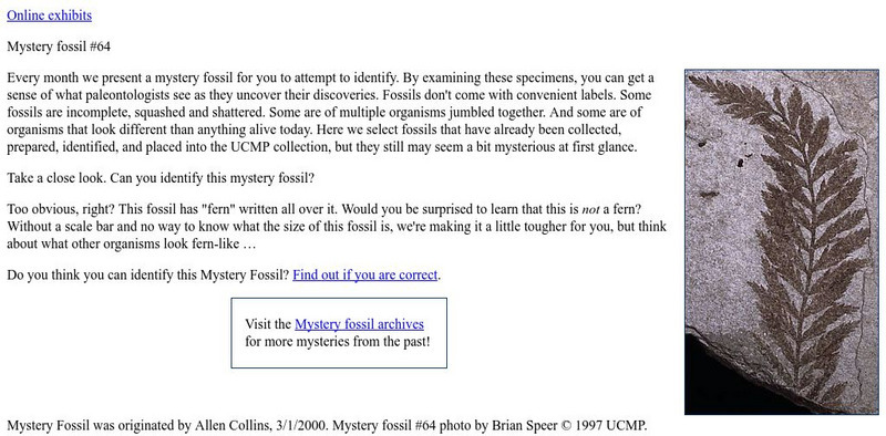 Ucmp: Mystery Fossils Activity Ucmp: Mystery Fossils Activity