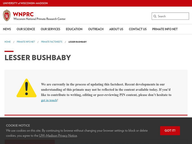 University of Wisconsin: Lesser Bushbaby Handout University of Wisconsin: Lesser Bushbaby Handout